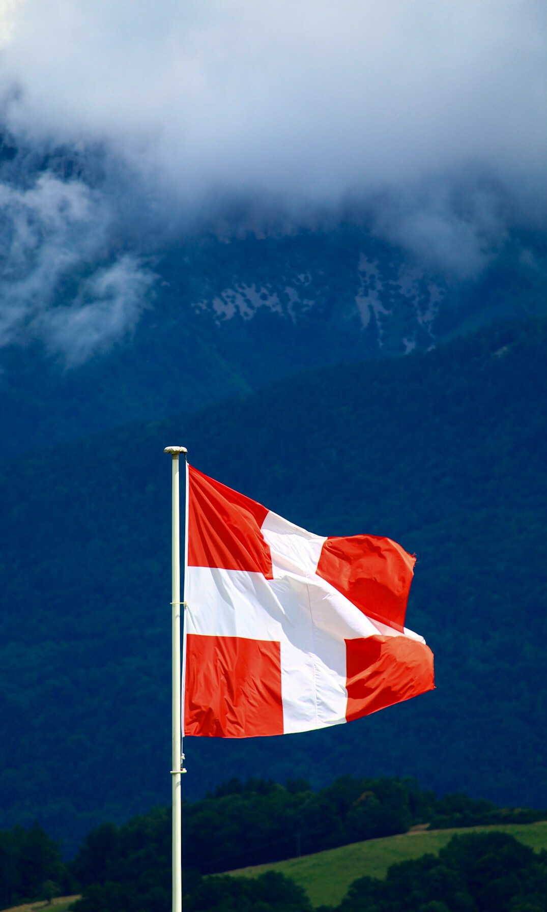 swiss flag and mountains